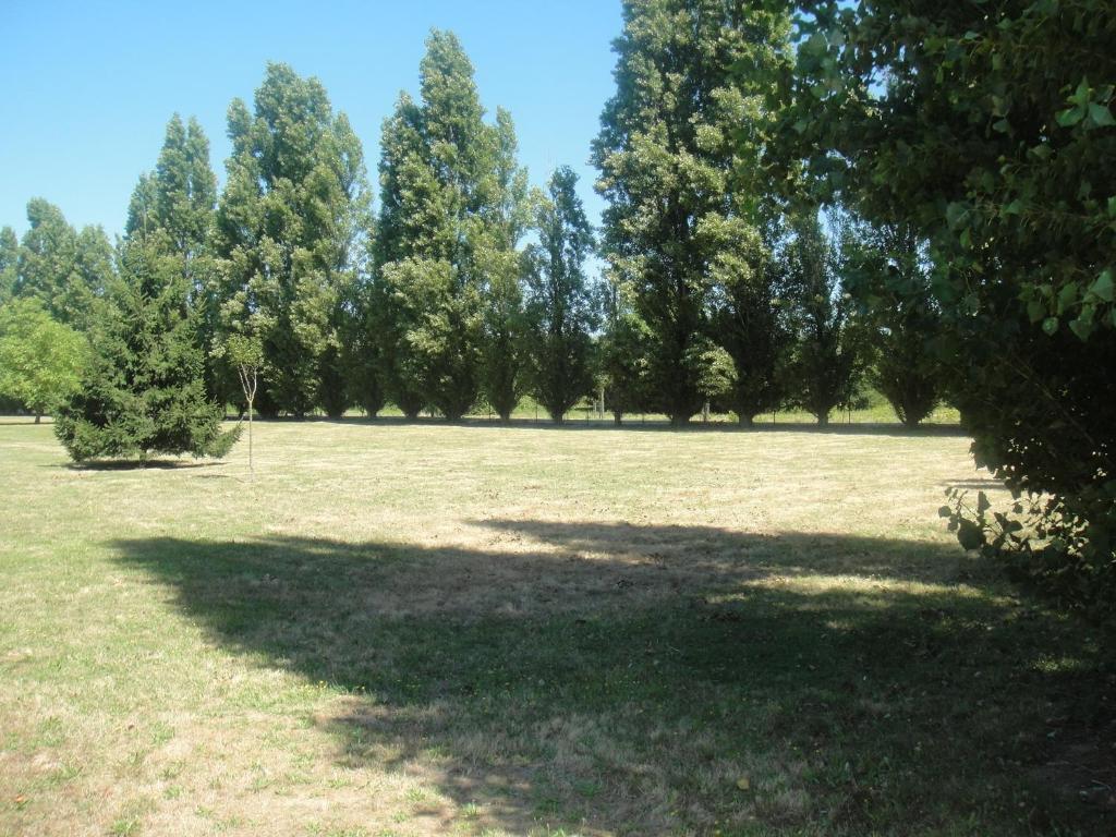 Ibis Budget Chatellerault Nord Exterior photo